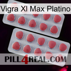 Vigra Xl Max Platinum 19